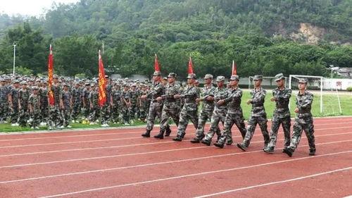 吃瓜女生跳舞军训视频在线观看,舞蹈视频走红网络，在线观看引热议