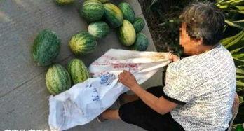 保定吃瓜最新爆料视频,最新爆料视频揭秘惊人内幕