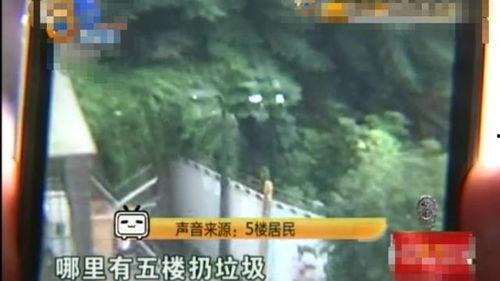 小区吃瓜19分钟视频,小区吃瓜大事件，精彩瞬间不容错过