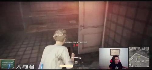 大司马吃鸡呆瓜视频,一场爆笑的绝地求生之旅