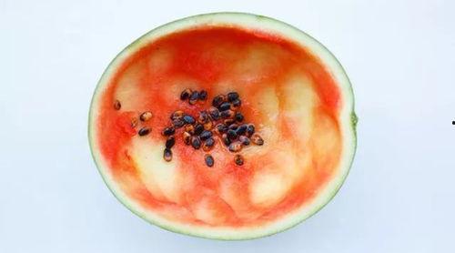 合肥本地吃瓜事件真相视频,揭秘背后真相与网络舆论的漩涡