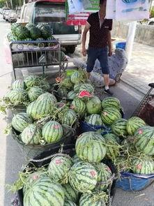 合肥本地吃瓜事件真相视频,揭秘背后真相与网络舆论的漩涡