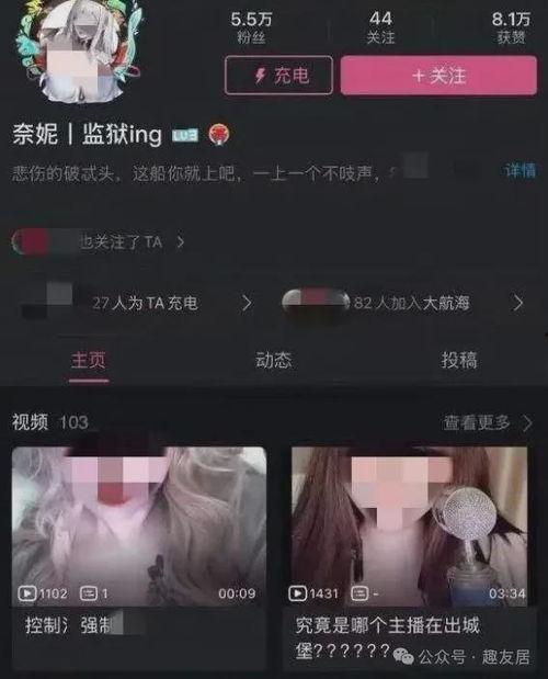 吃瓜网红音乐大全播放视频,跟着节奏一起摇摆！