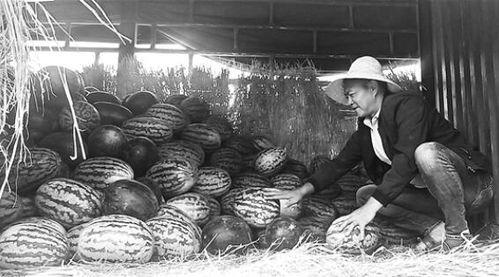 绵阳吃瓜群众事件视频