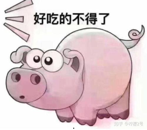 牛老二吃瓜视频,揭秘娱乐圈幕后故事