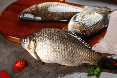 六大瓜吃鲫鱼视频播放,视频播放背后的美食魅力揭秘