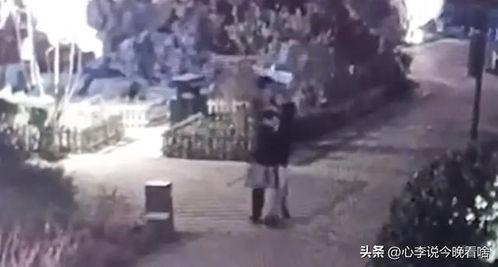 母亲吃瓜视频完整版,揭秘家庭温馨日常瞬间