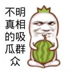 吃瓜视频群众付大豪,揭秘网络红人的崛起之路