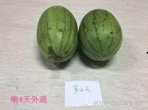新沂吃瓜原视频