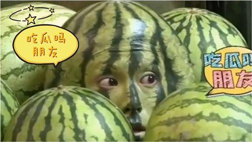 吃瓜比赛搞笑视频大全高清,高清盛宴来袭