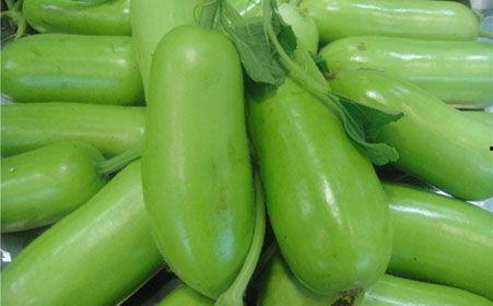 蒲瓜适合煎着吃吗视频,探索传统美食的独特魅力