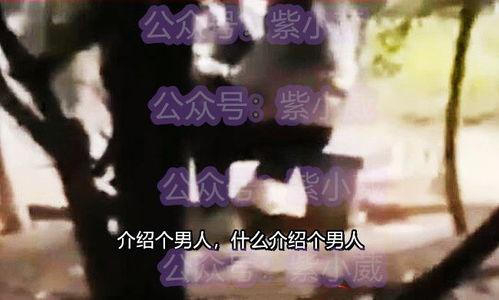 男子吃瓜看到女友出轨视频,男子吃瓜成真瓜，情感漩涡中的抉择与挣扎