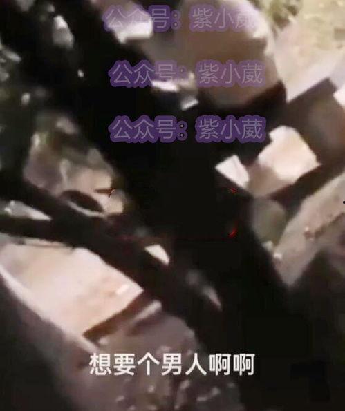 男子吃瓜看到女友出轨视频,男子吃瓜成真瓜，情感漩涡中的抉择与挣扎