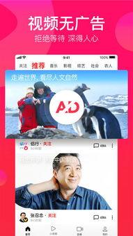 吃瓜唠嗑视频下载,轻松获取热门娱乐资讯