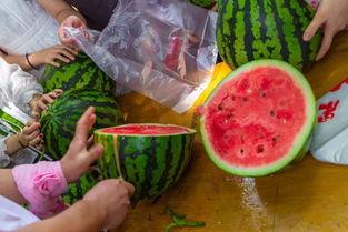 关于休息吃瓜的视频,跟随视频一起享受休息时光的“吃瓜”之旅