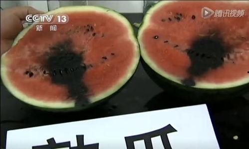 关于休息吃瓜的视频,跟随视频一起享受休息时光的“吃瓜”之旅