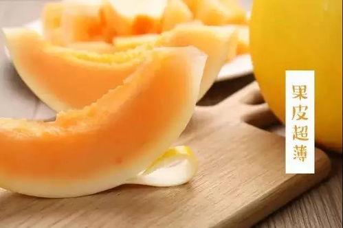 脆宝蜜瓜怎么吃最好吃视频