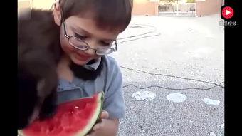 讲故事吃瓜视频