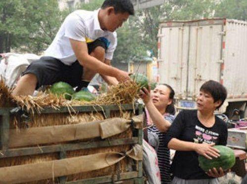 卖瓜妇女吃瓜视频大全,卖瓜妇女吃瓜视频大盘点