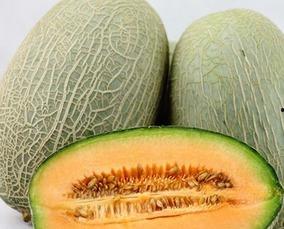 吃哈密瓜唱歌视频播放在线观看,在线观看吃瓜唱歌视频，感受夏日欢乐