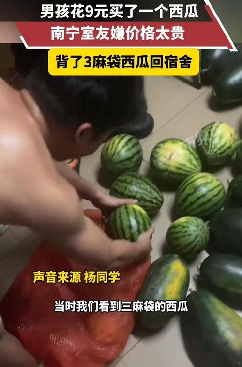 吃瓜南宁大学生视频,校园生活趣味横生