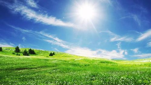 草地吃瓜拍照姿势视频大全,解锁夏日清新风