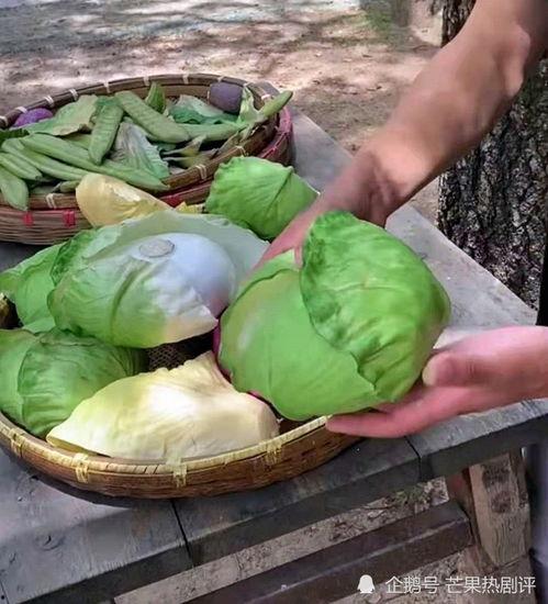 白瓜烂了还可以吃嘛视频,白瓜烂了还能吃吗？专家揭秘真相