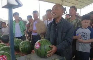 清远吃瓜群众事件真相视频,真相与误解的交织