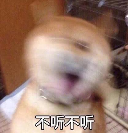 秃崽吃瓜视频链接下载免费,揭秘热门视频背后的趣味与真相