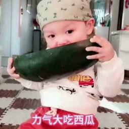 吃瓜2张图的视频,两张图视频深度解析