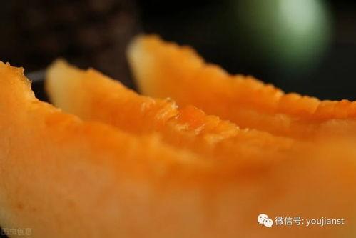 大家认真吃瓜视频下载安装,轻松获取热门内容