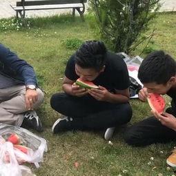 吃瓜搞笑比赛的视频下载,搞笑比赛视频下载，欢乐无限