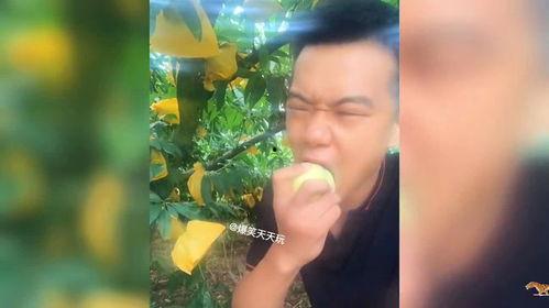 沙漠吃瓜搞笑视频,吃瓜搞笑视频带你领略沙漠风情