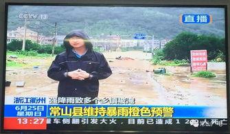 安丘吃瓜新闻报道视频大全,视频大全带你领略当地热点事件