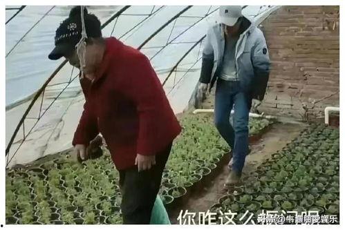 陈丽君吃瓜视频大全