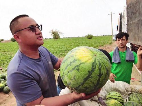 美国画家吃瓜视频下载安装