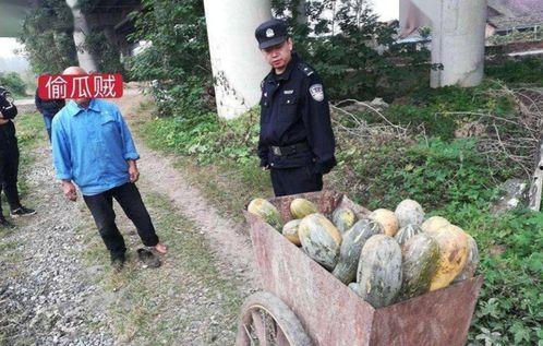 长峙岛吃瓜事件视频,一场网络热议的真相揭秘