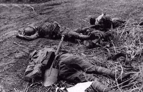 长峙岛吃瓜事件视频,一场网络热议的真相揭秘