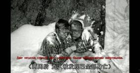 定西吃瓜事件始末视频完整版,一场网络舆论的风暴与反思