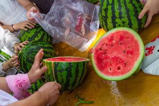 沈阳最新吃瓜视频,揭秘幕后真相，热点事件再掀波澜