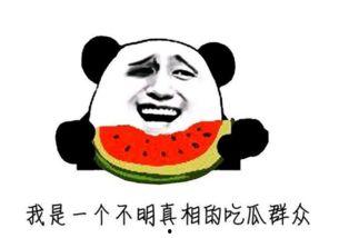 最牛吃瓜群众视频,视频背后的热点追踪与网络影响力