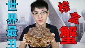 夏庄吃瓜事件视频大全集