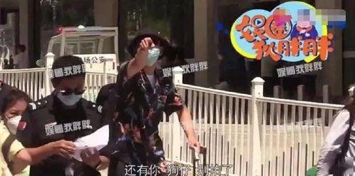 李现老婆吃瓜视频大全集,全程回顾精彩瞬间