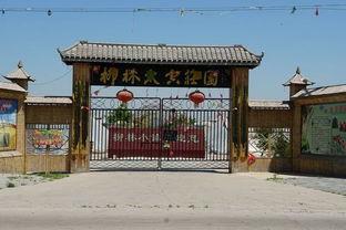 曹县翰林院吃瓜视频,揭秘幕后故事与网友热议