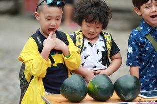 萌娃看爸爸吃瓜视频,萌态百出萌翻网友