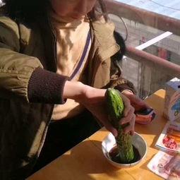 表演老师吃瓜视频下载,揭秘娱乐圈幕后趣闻