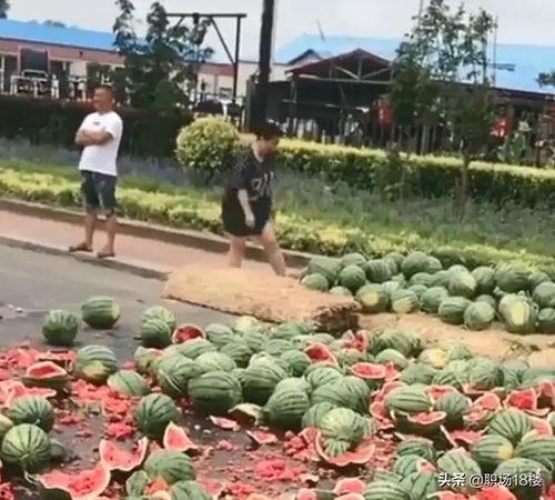 吃瓜被人摔西瓜视频大全,吃瓜群众遭遇西瓜摔落意外瞬间
