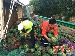 吃瓜被人摔西瓜视频大全,吃瓜群众遭遇西瓜摔落意外瞬间