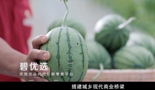 土瓜怎么吃不寒凉呢视频,告别寒凉，享受健康美味