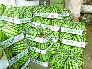 武汉吃瓜大全视频,吃瓜大全视频带你领略地道风味